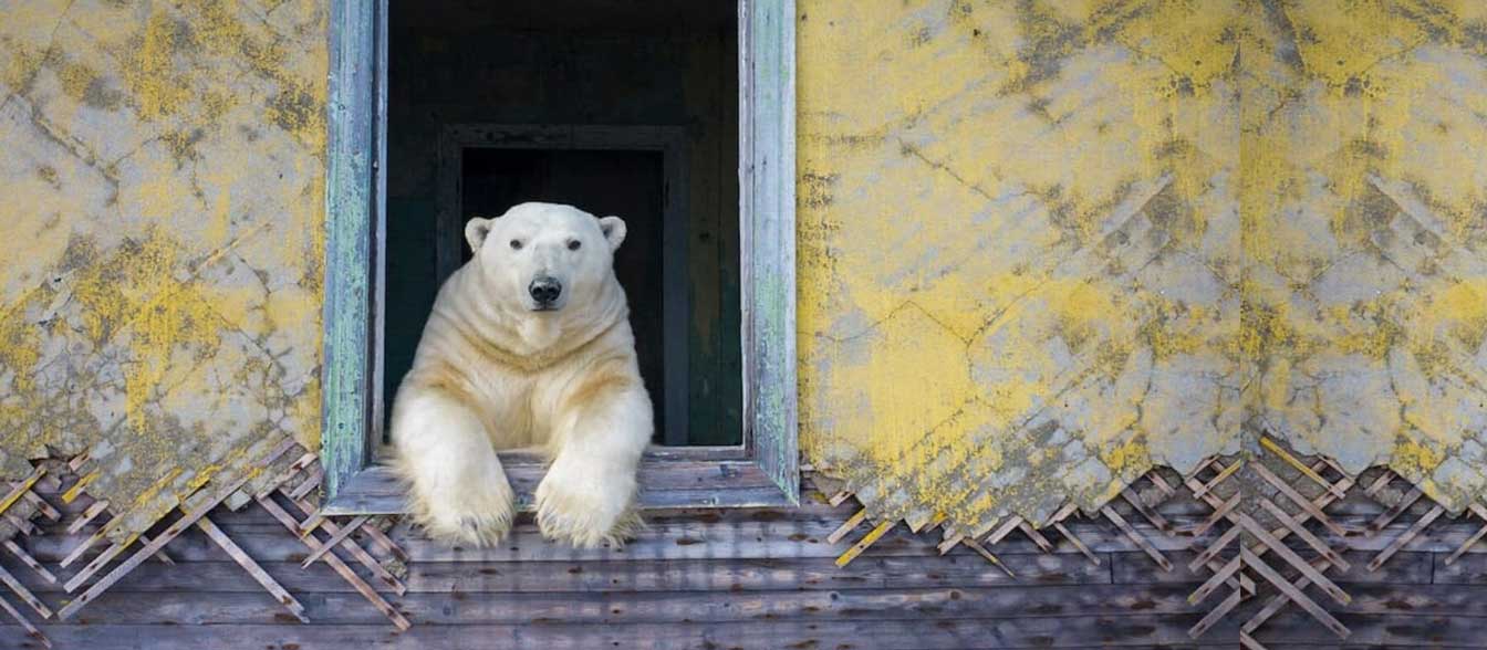 Photography: The Definitive Visual History