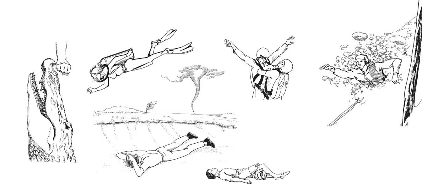 The Worst Case Scenario Survival Handbook